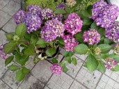 WhatsApp Image 2022-08-15 at 22.00.12 (1)